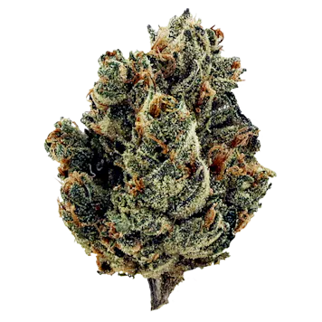 Photo of Eddy's Watermelon - 3.5g Flower - Alberta