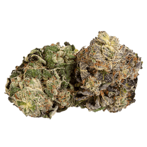 Photo of -ness Powdered Donuts