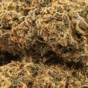 Photo of White Widow