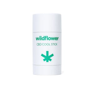 Photo of CBD Mini Cool Stick 100mg