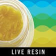 Product image for Stuffed French Toast Live Resin - 1g