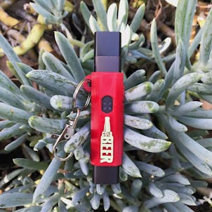 Photo of Terrapin PAX ERA Case + Keychain, "Cold Beer, Please" *Customizable