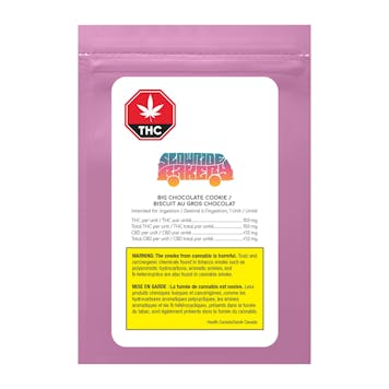 Photo of Big Chocolate Cookie