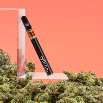 Photo of Citrique - Balance Disposable Vape 0.3g