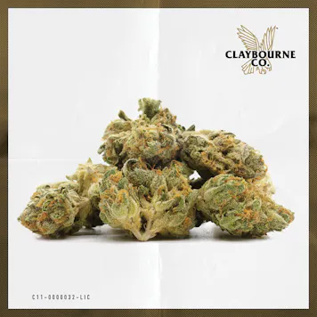 Photo of Mango Sherbert (28g) - Small Buds