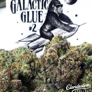 Photo of Galactic Glue #2