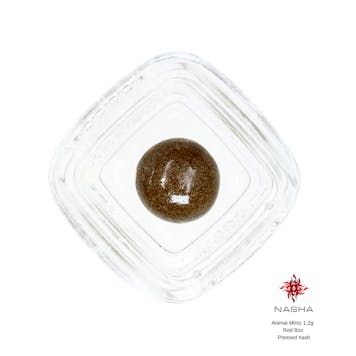 Photo of Animal Mintz 1.2g Red Pressed Hash (East Mill Creek)