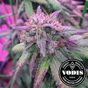 Photo of Strawberry Cheesecake