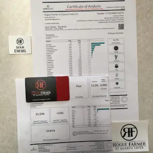 Photo of Sour Diesel