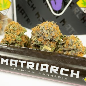 Photo of Dance World