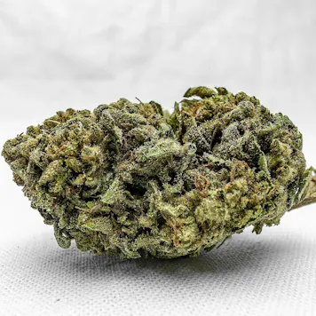Photo of Caramel Cream