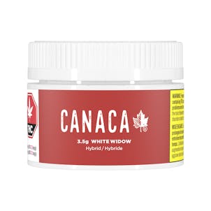 Photo of White Widow