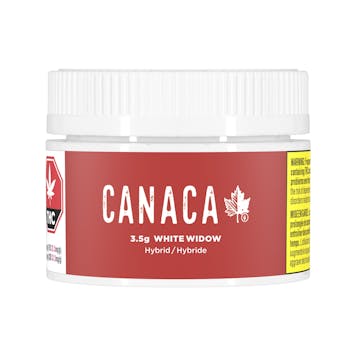 Photo of White Widow