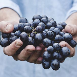 Photo of Grape Stomper