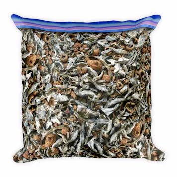 Photo of Funguy Shrooms Pillow