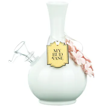 Photo of My Bud Vase "Monica" Water Pipe