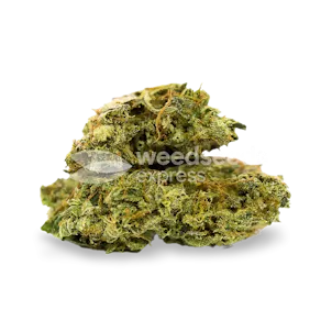 Photo of C. Banana Feminized Seeds