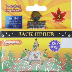 Photo of Jack Herer Cannabis Seeds by Sunwest Genetics