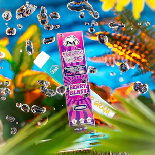 Photo of Fantastix THC-O 2G Disposable Vape: Berry Blast | Puff Xtrax