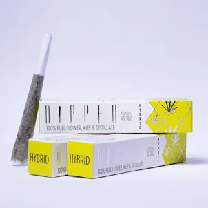 Photo of Gushers (Hybrid) DIPPED Infused Pre-Rolls 1g