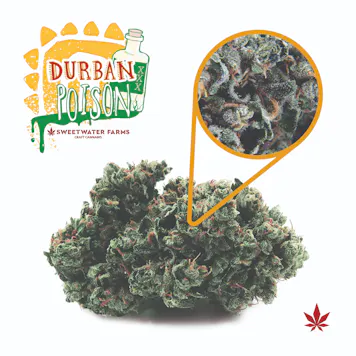 Photo of Durban Poison - Pre-Rolled Joints 1g (2-pack)