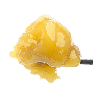 Photo of Grape Biscotti Live Resin Badder