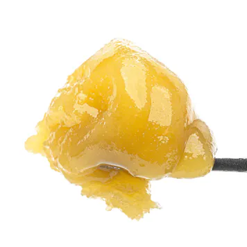 Photo of Grape Biscotti Live Resin Badder