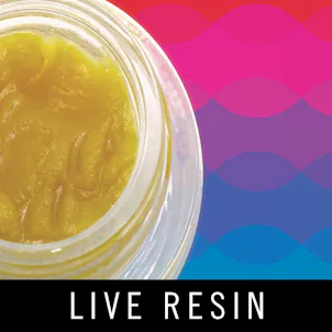 Photo of Garlic Breath Live Resin - 5g