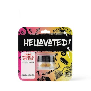 Photo of Dude Where's My Car