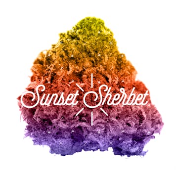 Photo of Sunset Sherbet