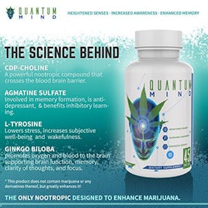 Photo of QUANTUM MIND — FREE BOTTLE