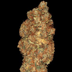 Photo of SPACE COOKIES