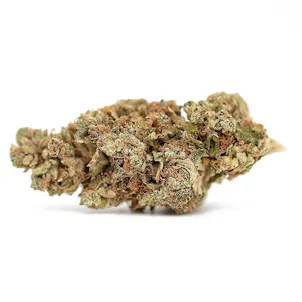 Photo of Black Cherry O.G.