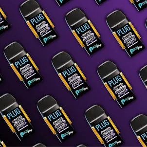 Photo of PLUGPLAY™ | PLUG™ Pod | Washington | Sugar Daddy Purple | 1g