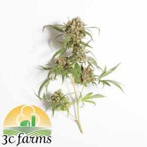 Photo of 3C Casey Jones