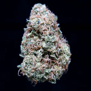 Photo of Durban Poison