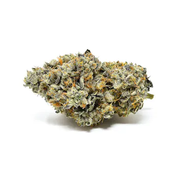 Photo of Bermuda Triangle (14G) - Indica dominant