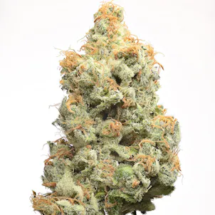 Photo of EWOK by Fire Bros.