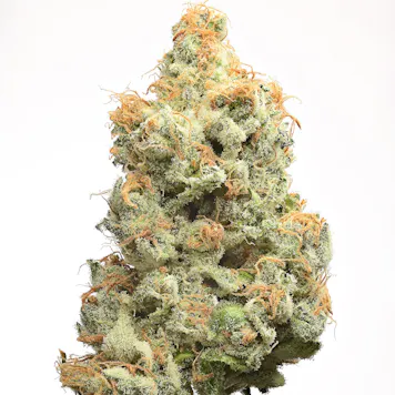 Photo of EWOK by Fire Bros.