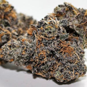 Photo of Obama Runtz