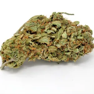 Photo of Special Sauce Hemp Flower
