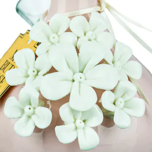 Photo of My Bud Vase "Rachel" Water Pipe