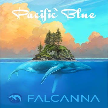 Photo of Pacific Blue