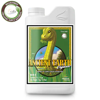 Ancient Earth