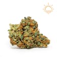 Product image for Temple Kush