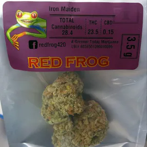 Photo of Iron Maiden