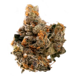 Photo of Platinum Daddy