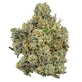 Electric Berry Bliss Trimmed | Gold