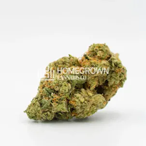 Photo of Big Bud Fast Version