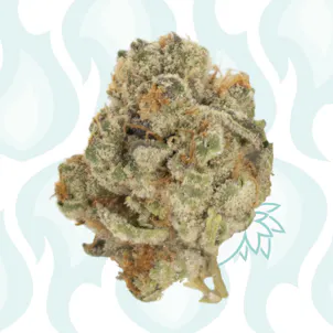 Photo of GSC (f.k.a. Girls Scout Cookies)